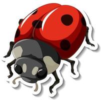 A sticker template with a red ladybug isolated vector