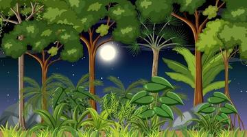Forest landscape scene at night with many trees vector