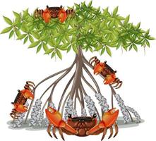 Mangrove Root Crab with Mangrove Tree in cartoon style vector