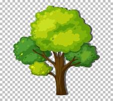 un árbol con hojas verdes vector