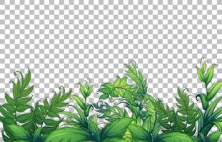 Various tropical leaves vector