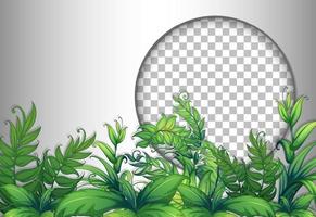 Round frame with tropical leaves template vector