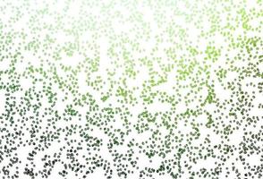 Light Green vector background with bubbles.