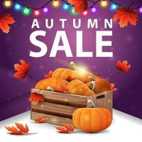 Autumn sale, square purple banner with wooden crates of ripe pumpkins vector