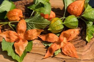 la fruta naranja physalis peruviana foto