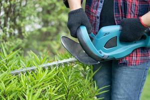 Gardener holding electric hedge trimmer to cut the treetop in garden. photo