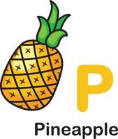 Alphabet Letter P-Pineapple vector illustration