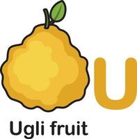 Alphabet Letter U-Ugli fruit vector illustration