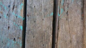 Wood texture background photo