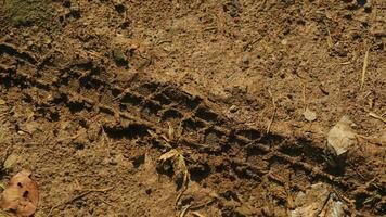 Bike Tire tracks left in fresh mud photo