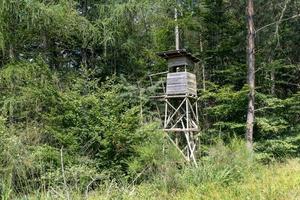 Hunter's high seat on a mountain slope in summer with trees photo