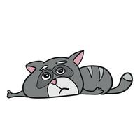 Cartoon funny cat vector