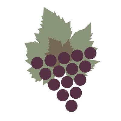 Flat design - grape leaves