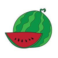 Juicy watermelon, summer mood vector