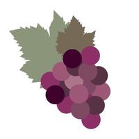 Flat design - grape leaves vector