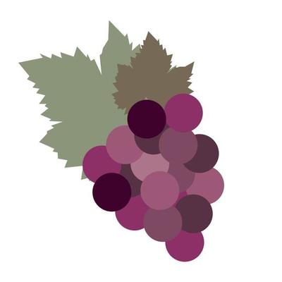 Flat design - grape leaves