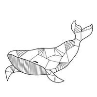 Whale marine life, fish vector