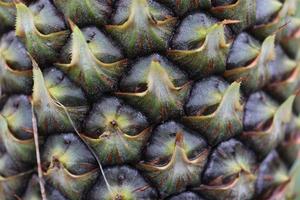 Close-up of texture background of pineapple body photo