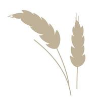 Spikelets of rye, cartoon icon vector