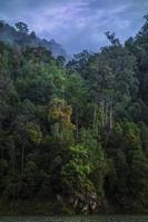 Bushy forest in tropical forest deep jungle on a cloudy sky background photo