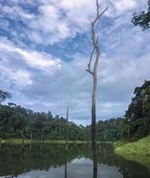 Lake view in the forest during a weather cloudy morning photo