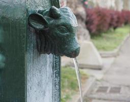 Toret drinking fountain in Turin photo