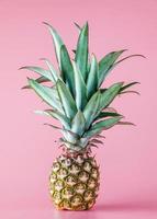 Pineapple fruit isolated on pink background. photo