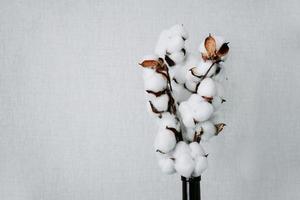 Light grey background with branch of artificial cotton flower photo