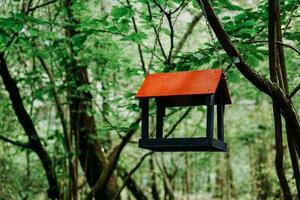 Wooden bird feeder in green summer forest or in the city park photo