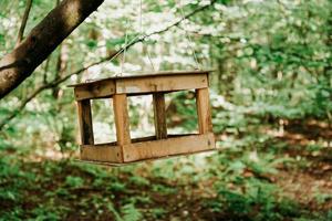 Wooden bird feeder in green summer forest or in the city park photo