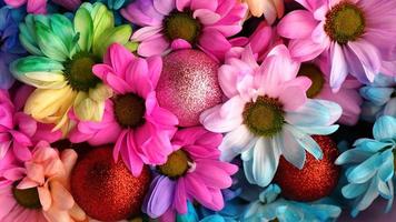 Rainbow Daisies. Bouquets of blossom rainbow flowers photo