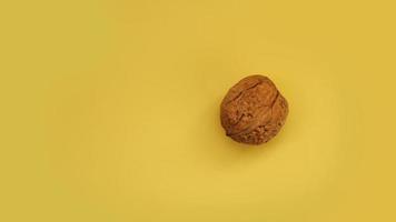 Walnut isolated on a yellow background. photo