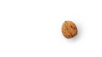 Walnut isolated on a white background. photo