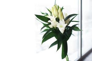 Beautiful lilies on light brown background photo