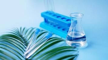 Test tubes on a blue background. Tropical leaf. Tropical disease photo