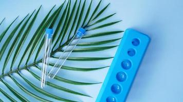 Test tubes on a blue background. Tropical leaf. Tropical disease photo