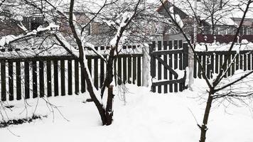 Branches of young apple tree under snow in sunny frosty morning photo