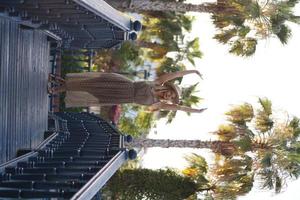 A girl in a dress and hat stands on the bridge. Palm trees photo