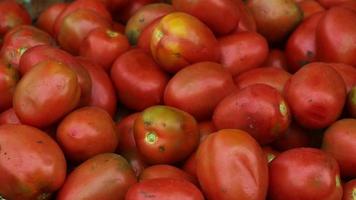 manojo de tomate en el mercado tradicional foto