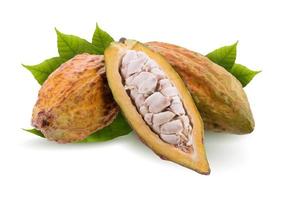 Vaina de cacao y semillas de cacao aislado sobre fondo blanco. foto