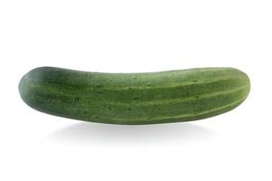 Ripe cucumber isolated on a white background photo