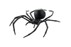 Fake rubber spider toy isolated over a white background photo