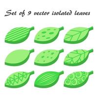 vector conjunto de 9 hojas verdes