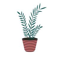 Planta casera en maceta aislada sobre fondo blanco en estilo plano. vector