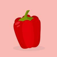 Red pepper vegetable. vector