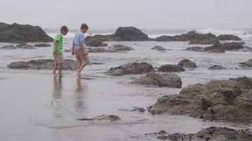 twee jonge jongens op het strand. video