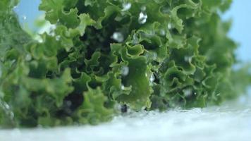 Water splashing on fresh lettuce in slow motion video