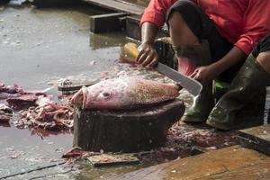 The assorted seafoods sold in fish market photo