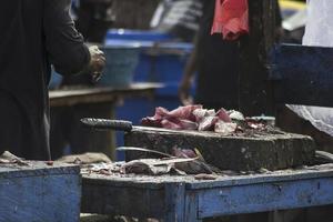 The assorted seafoods sold in fish market photo