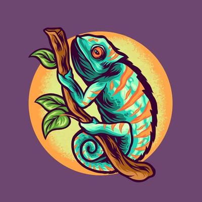 cameleon reptiles illustration